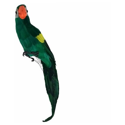 Попугай перьевой "Пират" большой пиратский на плечо, цвет зеленый - изображение №1