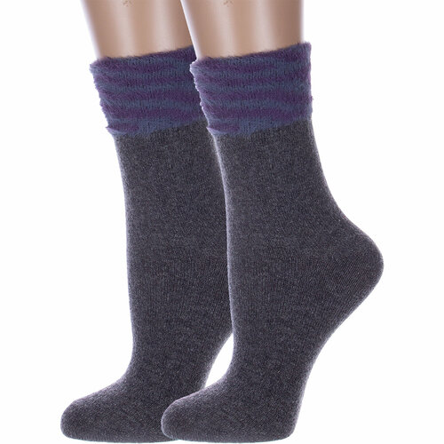 Носки HOBBY LINE, 2 пары, фиолетовый, серый (серый/фиолетовый/серый-фиолетовый)