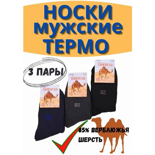 Носки Береза, 3 пары, черный - изображение №1