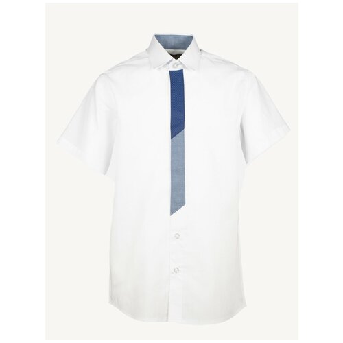 Школьная рубашка Tsarevich, зеленый (серый/красный/зеленый/оранжевый/фиолетовый/серебристый/белый/светло-серый) - изображение №1