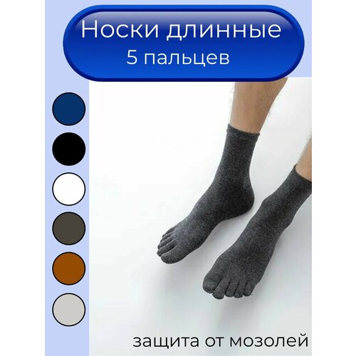 Носки , серый (серый/темно-серый) - изображение №1