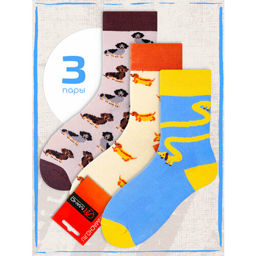 Носки Мачо, 3 пары, голубой, бежевый, серый (серый/бежевый/голубой)