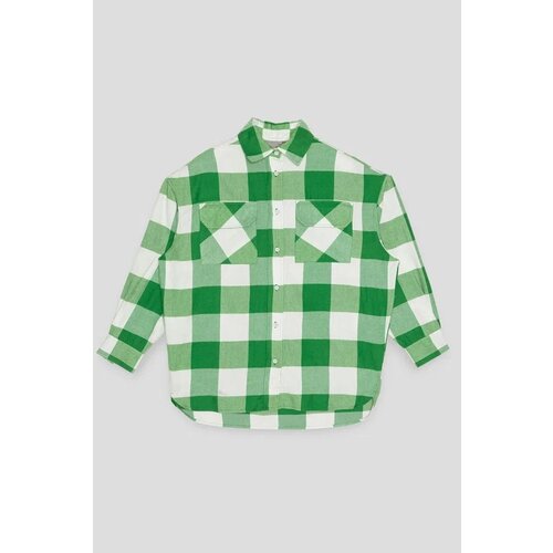 Рубашка Reporter Young, зеленый, белый (серый/черный/зеленый/белый) - изображение №1