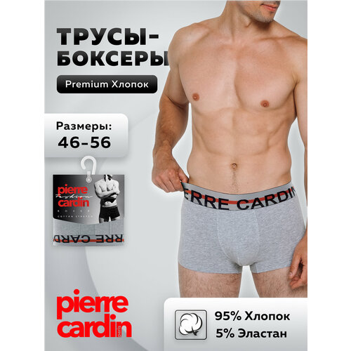 Трусы Pierre Cardin, серый