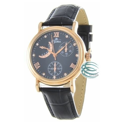 Наручные часы F.Gattien Часы F. Gattien 8166-414ч, бесцветный, черный (черный/золотистый/бесцветный/золото)