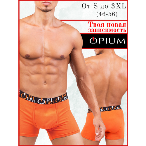 Трусы Opium, оранжевый