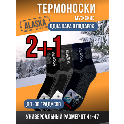 Термоноски Alaska, 3 пары, мультиколор (мультицвет) - изображение №1