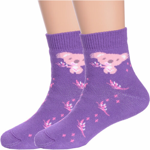 Носки Брестские, 2 пары, фиолетовый (фиолетовый/лиловый) - изображение №1