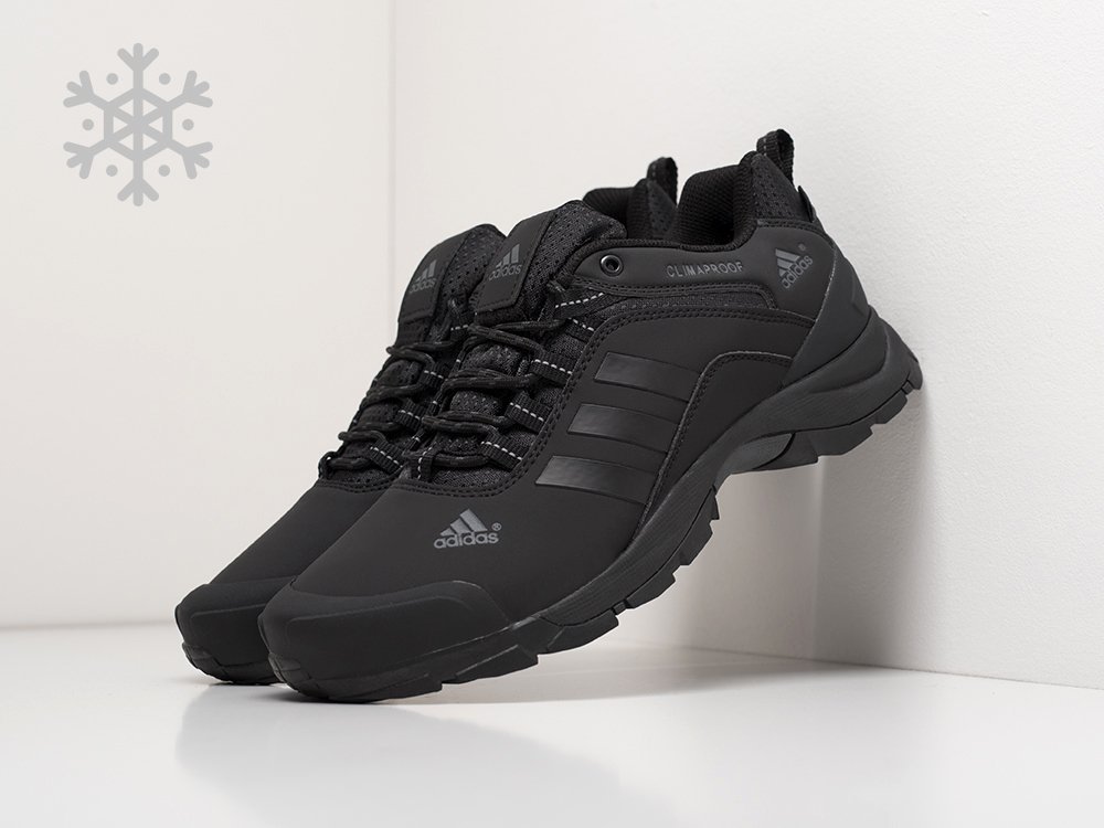 Кроссовки Adidas Terrex AX2 (черный) - изображение №1