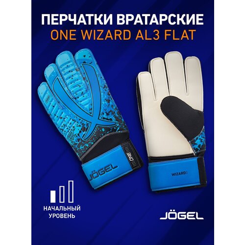 Вратарские перчатки Jogel, синий, белый (черный/синий/белый)
