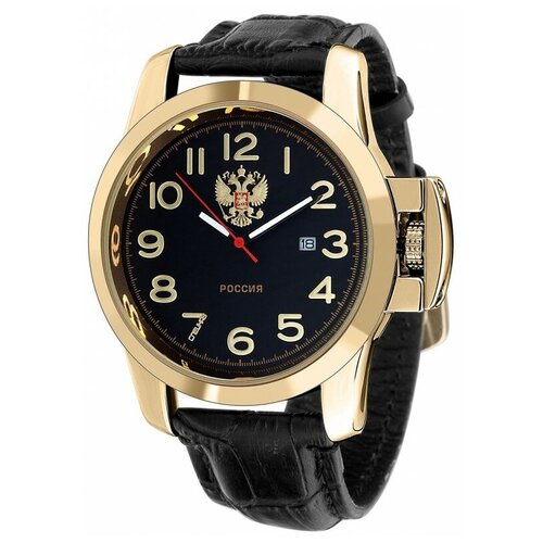 Наручные часы СПЕЦНАЗ С2959390-2115-300, черный (черный/золотой)