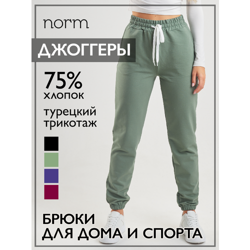 Брюки Norm, фиолетовый (черный/зеленый/бордовый/фиолетовый/оливковый/лаванда) - изображение №1