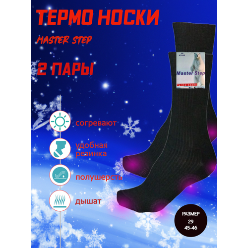 Термоноски Master Step, 2 пары, черный - изображение №1