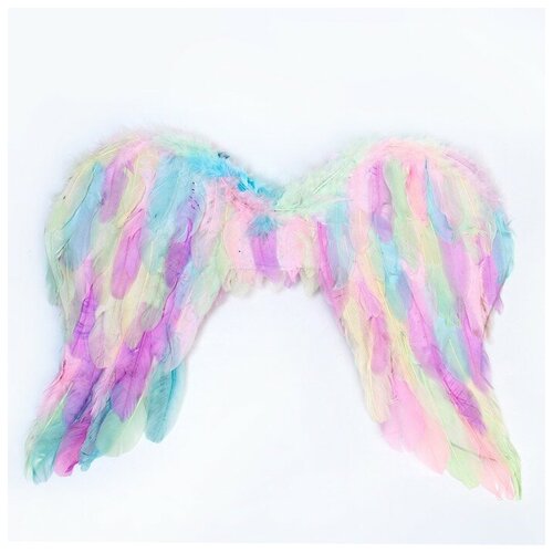 Крылья ангела 55*42 см 7907182 (разноцветный/розовый/голубой/фиолетовый/мультицвет) - изображение №1