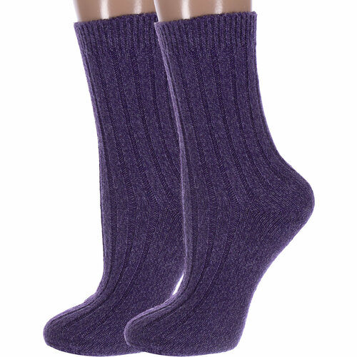 Носки HOBBY LINE, 2 пары, фиолетовый (фиолетовый/сиреневый)