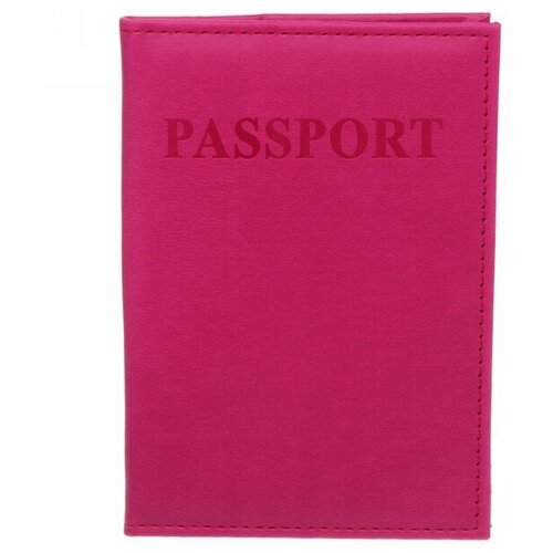 для паспорта Восток (сливовый) - изображение №1