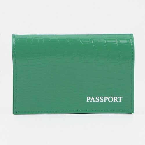 Обложка для паспорта , зеленый - изображение №1
